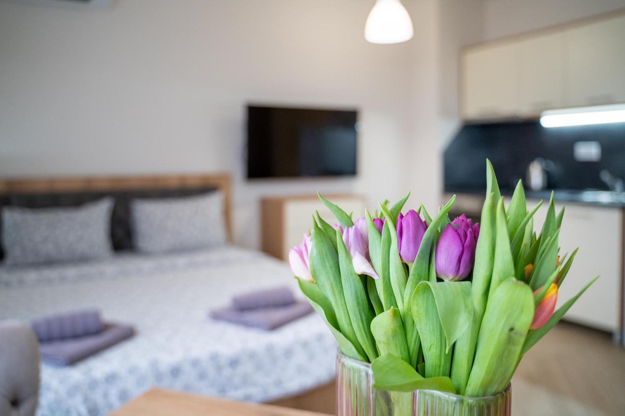 Wow Studios For Rent 2 Bul Montevideo 25A - B Σόφια Εξωτερικό φωτογραφία